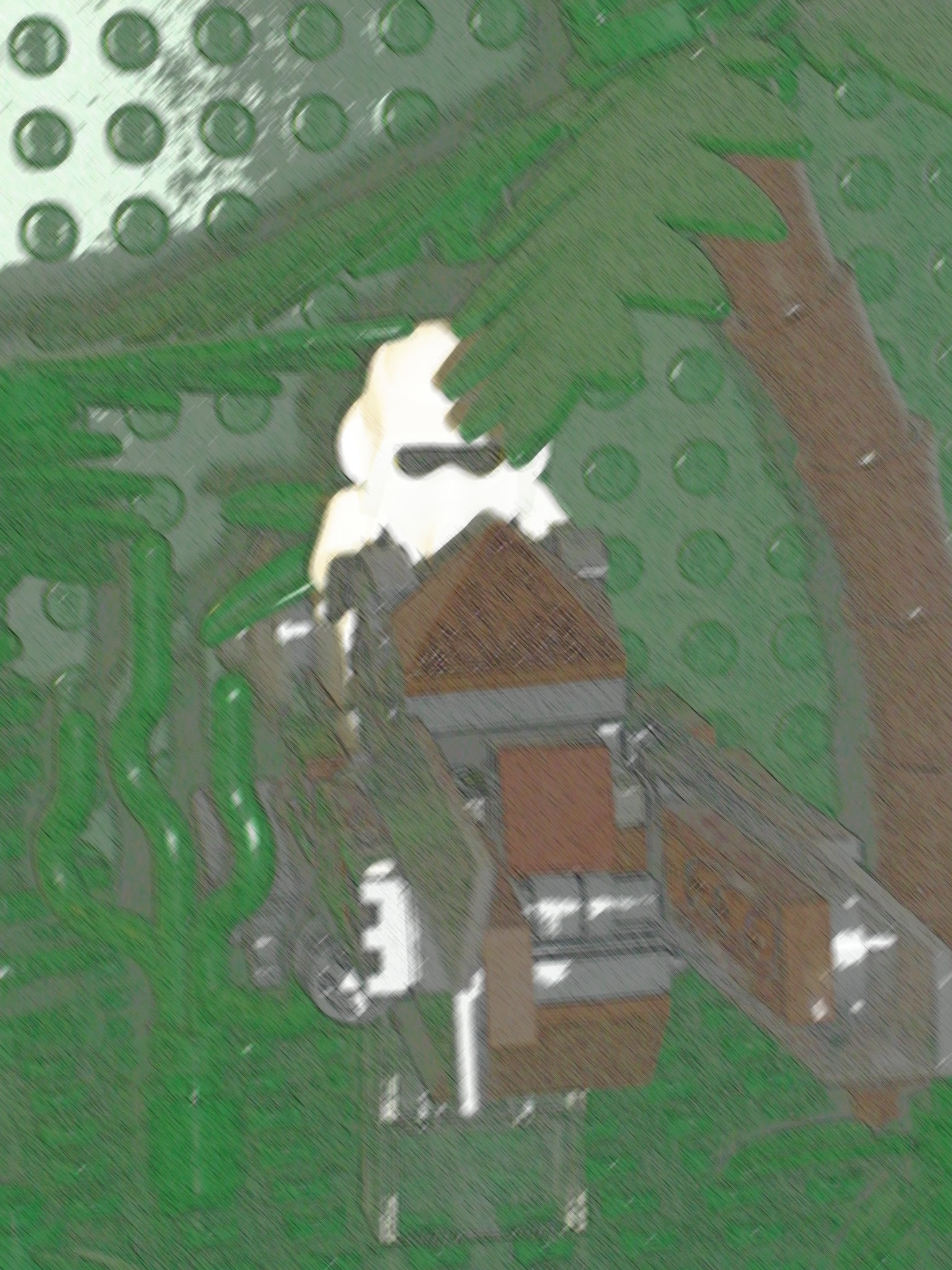 picture_001.jpg