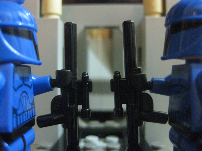 senategaurd3.jpg