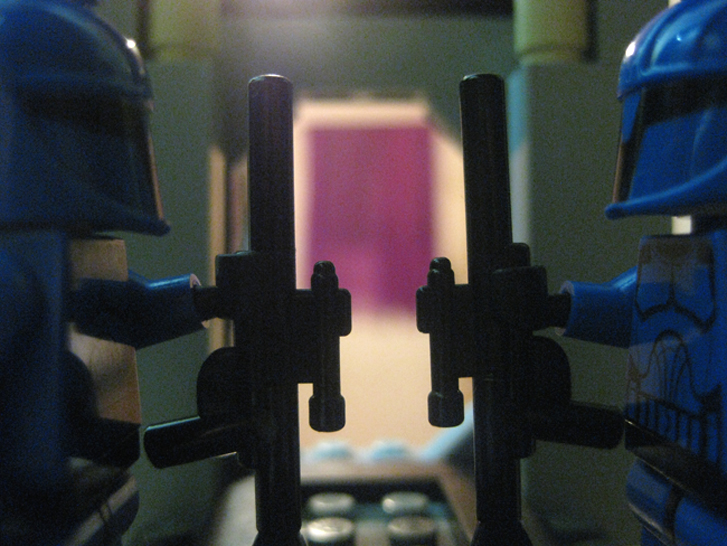 senategaurd2.jpg