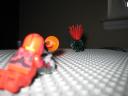 img_0067.jpg