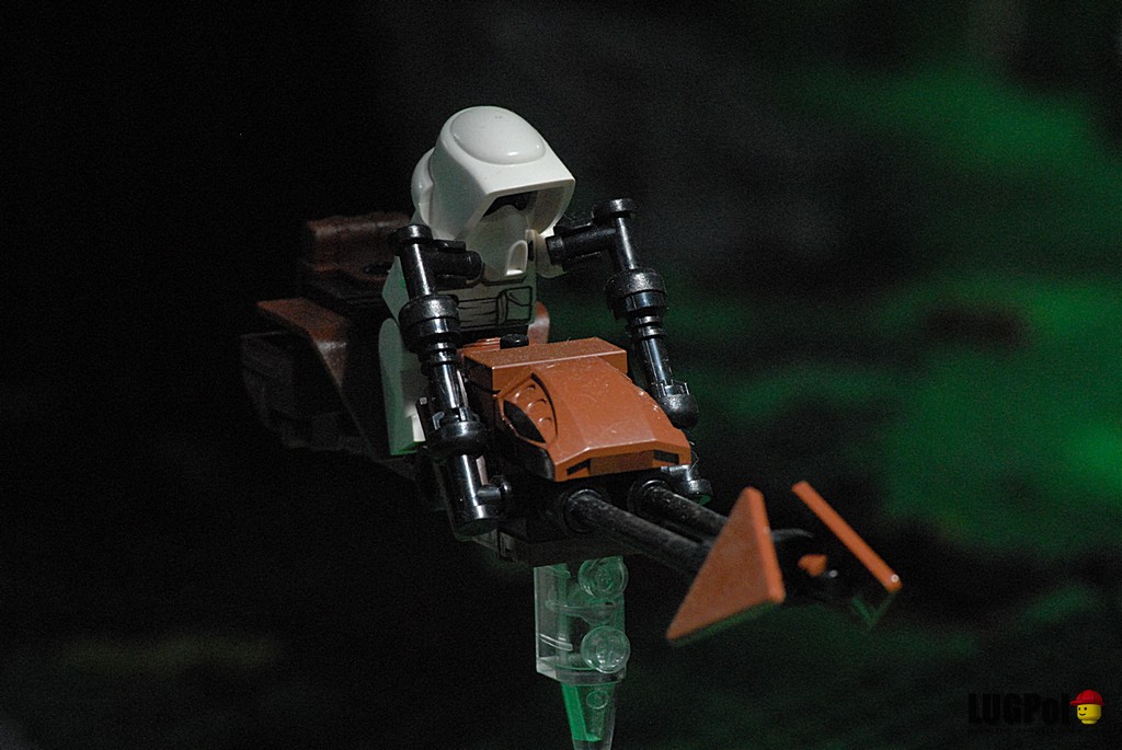d12_2617.jpg