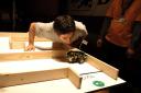 040best2006.jpg