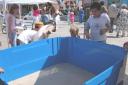 dscn7416.jpg