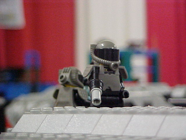 36.jpg