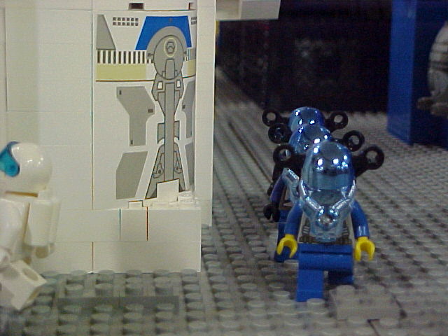 46.jpg