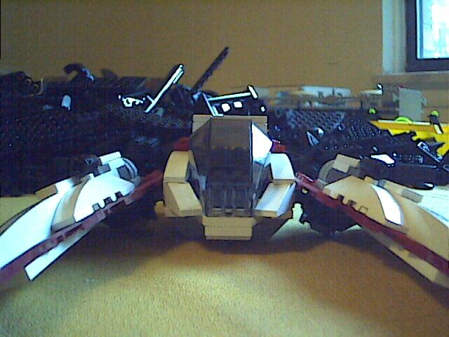 shrike03.jpg