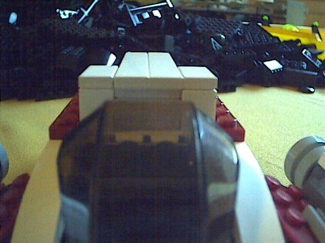 shrike04.jpg
