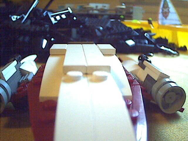 shrike05.jpg
