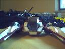 shrike03.jpg