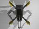 tarantula7.jpg