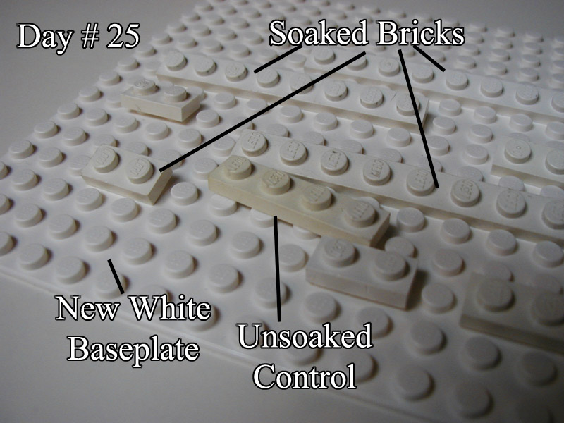 experiment04.jpg