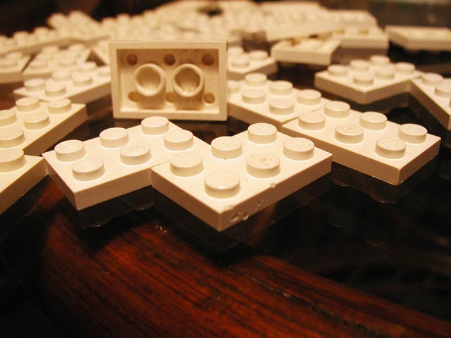 white02.jpg
