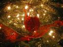 ornament05.jpg