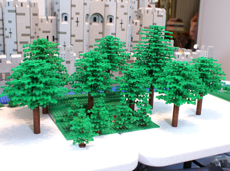 forest01.jpg