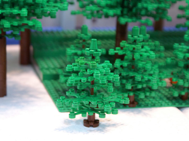 forest02.jpg