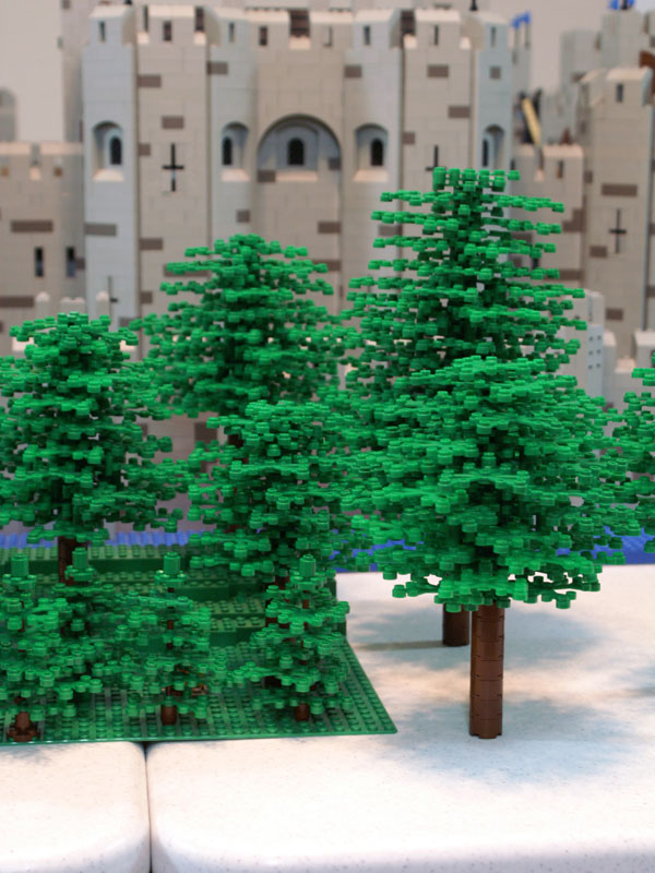 forest03.jpg