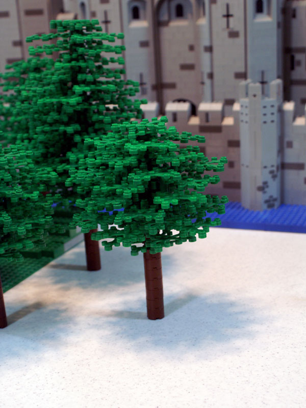 forest05.jpg