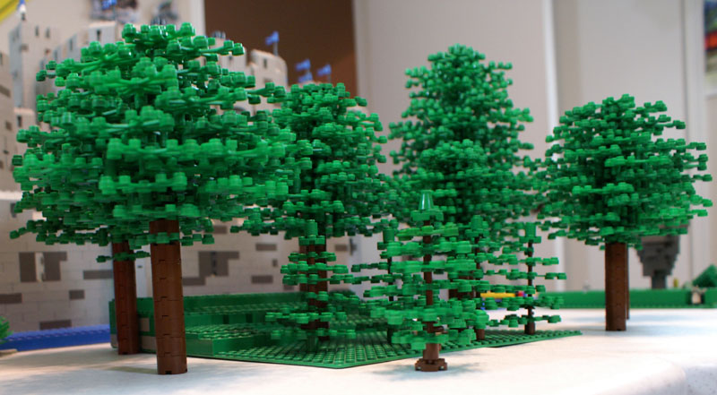 forest06.jpg