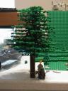 tree03.jpg