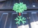 tree07.jpg