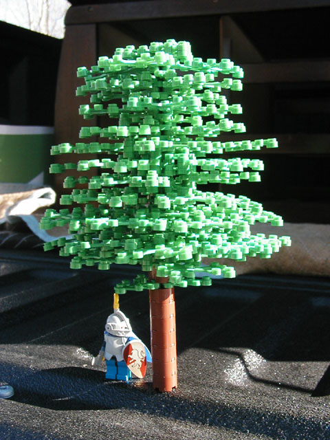 tree01.jpg