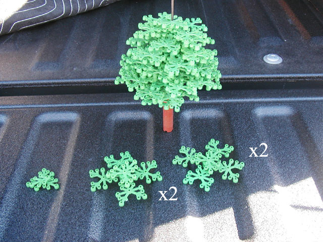 tree08.jpg