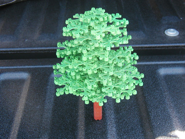 tree10.jpg