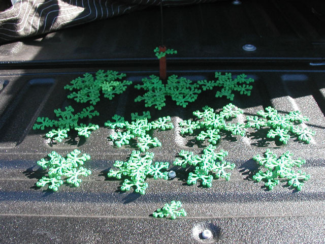 tree11.jpg