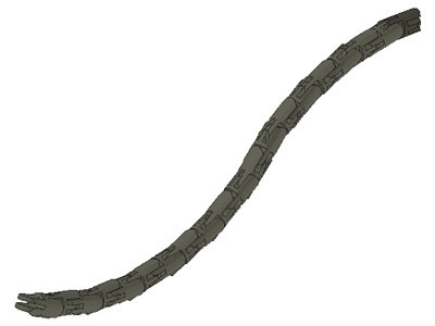 5griffontail2.jpg