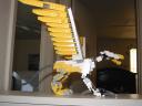 griffonstanding2.jpg