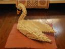 swan02.jpg