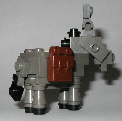 donkey2.jpg