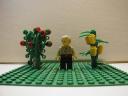 rosecorn1.jpg