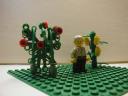 rosecorn2.jpg