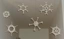 Snowflakes