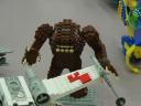 dsc00952.jpg