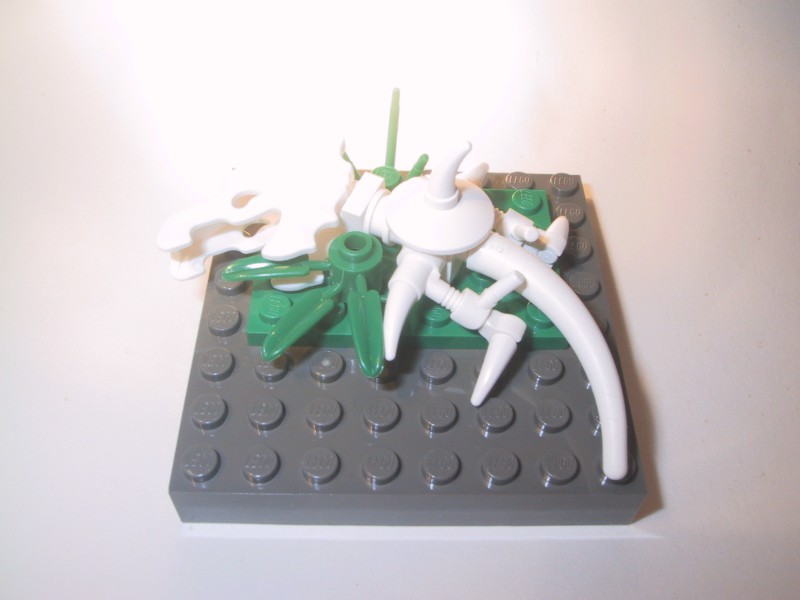 casimir_knocklebone6.jpg