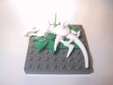 casimir_knocklebone6.jpg
