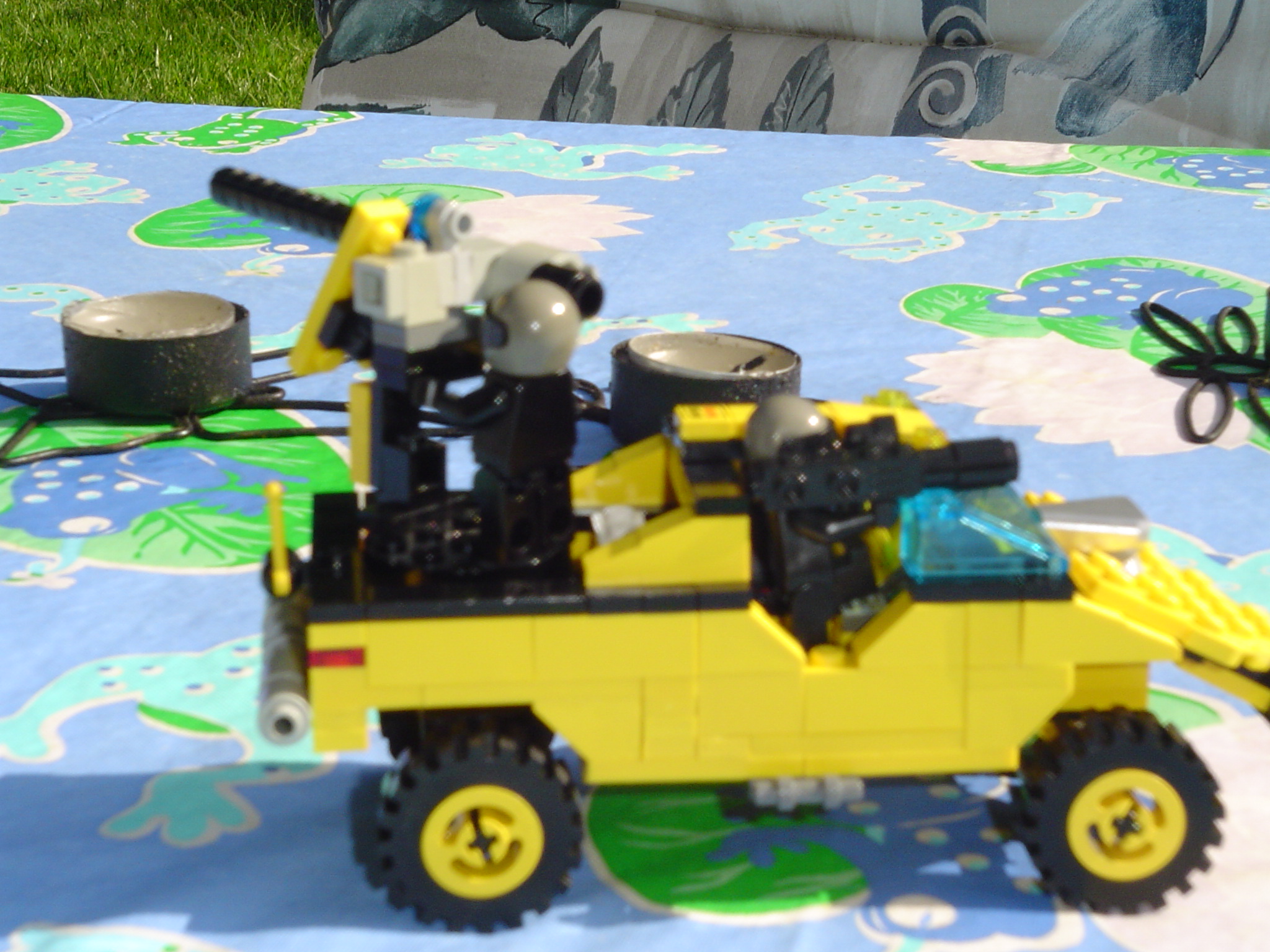 golden_warthog_003.jpg