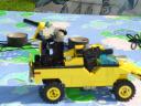 golden_warthog_003.jpg