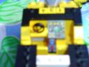 golden_warthog_006.jpg