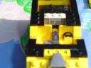 golden_warthog_007.jpg