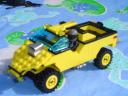 golden_warthog_008.jpg