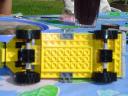 golden_warthog_009.jpg