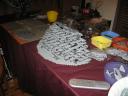 img_1246.jpg