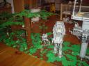 dsc01395.jpg