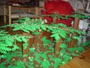 dsc01396.jpg