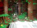 dsc01409.jpg