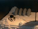 dsc00128.jpg