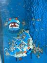dsc00154.jpg